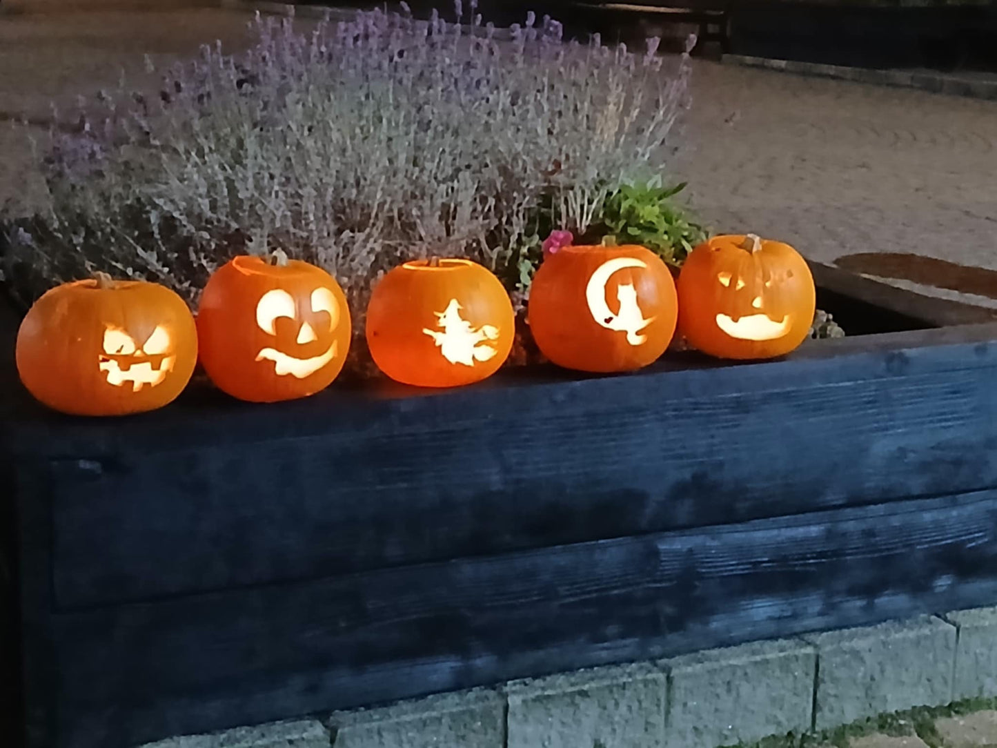 Design and Carve Your Own Pumpkin Workshop (Adults only)