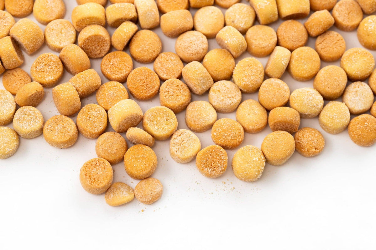 Plant Based 'Cheesy' Dog Training Treats