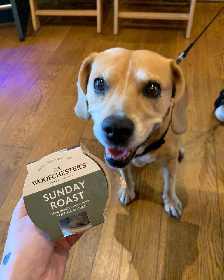 Sunday Roast Treat Pot · Hand-Baked Lamb & Mint Dog Treats