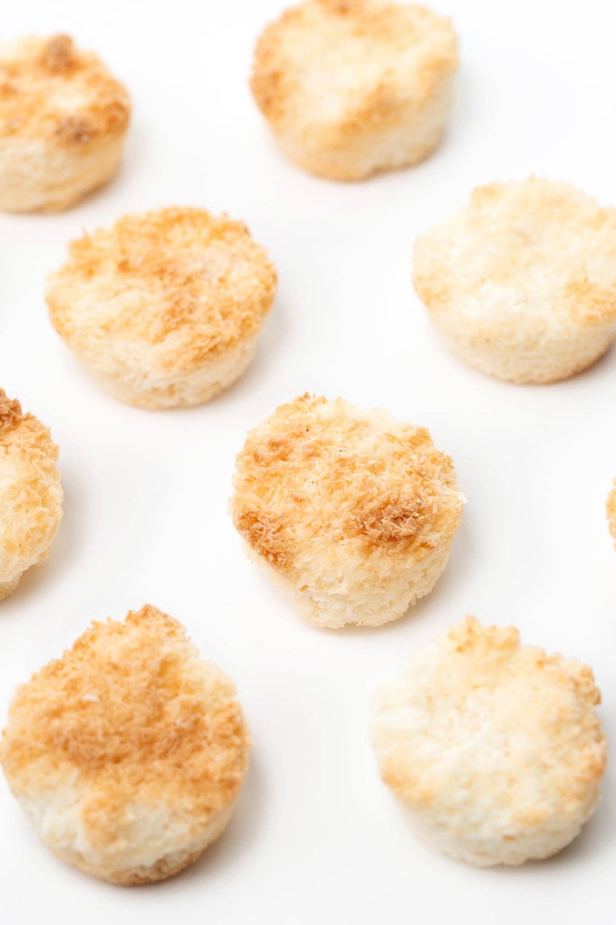 The Original Dog Coconut Macaroons