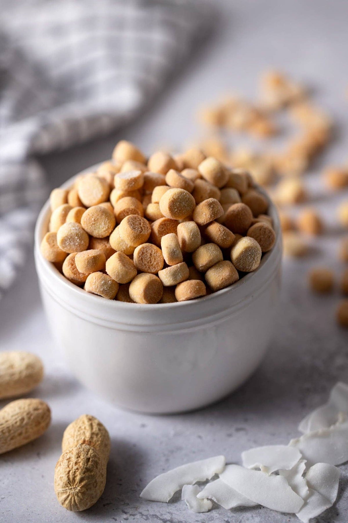 Plant Based 'Cheesy' Dog Training Treats