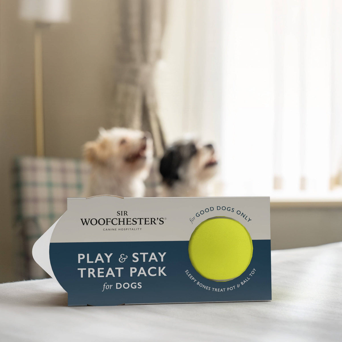 Play & Stay Treat Pack for Dogs | Dog Welcome Pack