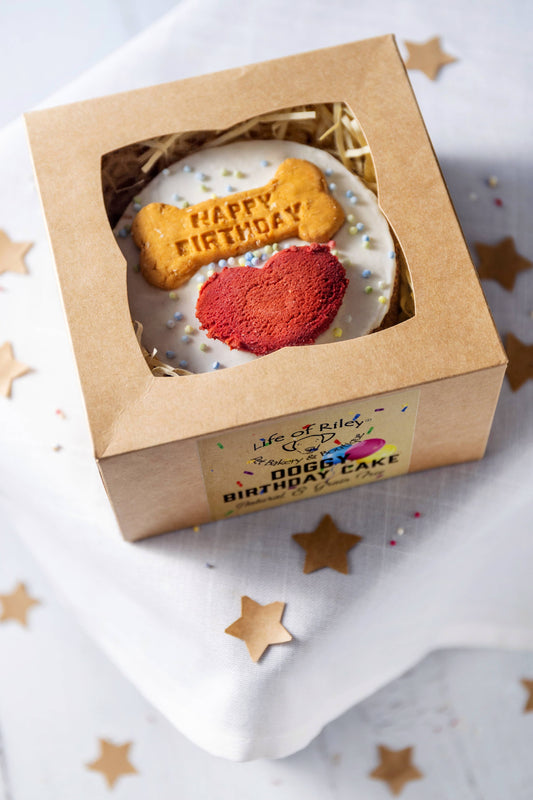 Dog Birthday Cake - Natural, Shelf Stable & Grain Free