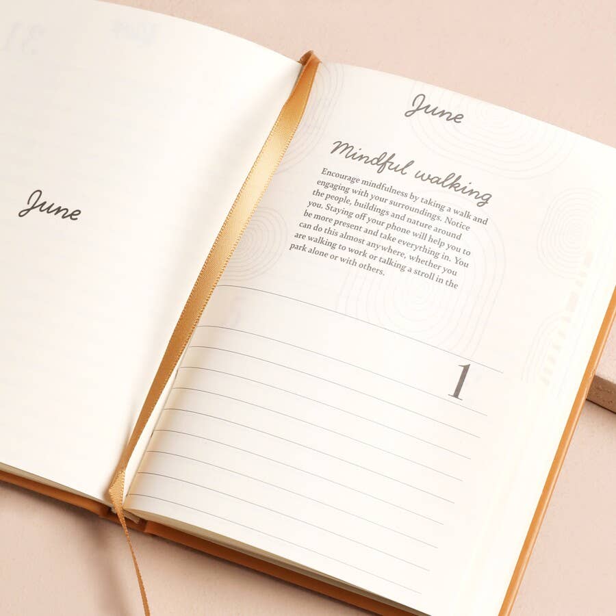 52 Weeks of Positivity Wellness Journal